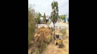 Download Lagu Amazing excavator pushing palm tree and bulldozer pushing soil MP3 Download Lagu Amazing excavator pushing palm tree and bulldozer pushing soil MP3