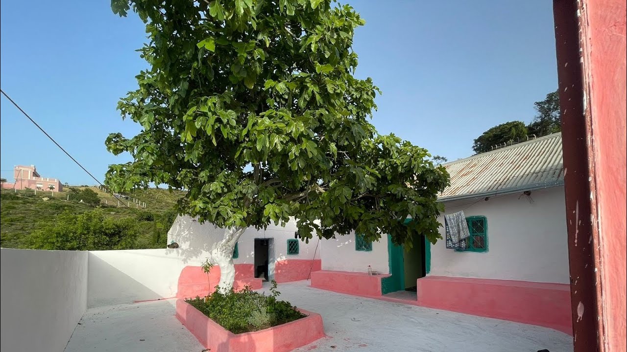 هميزة رائعة دار بلدية وغرسة غزالة مساحة 1000 متر0703640826ملوسة طنجة