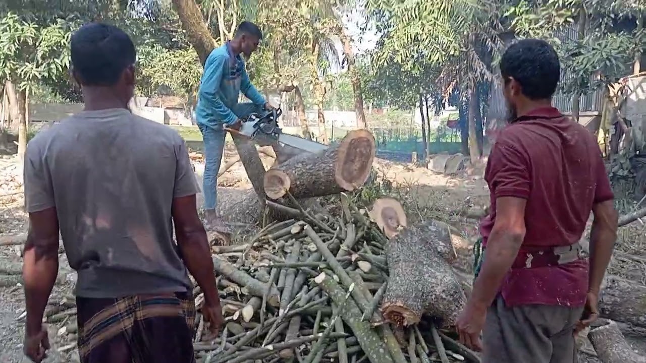 গাছ কাটার ভিডিও Boss F 380