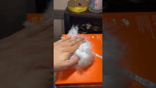 LED Cloud | TikTok: @joby_pfeil