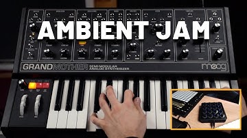 Ambient Jam with Moog Grandmother | Analog Synth Jam Session