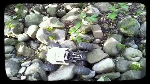 Axial XR10 + Redcat RS10xt = HYBRID crawler (MOA)