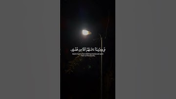 سورة آل عمران الآية (169 - 170) بصوت القارئ #طارق_محمد #القرآن_الكريم #تلاوة_هادئة #راحة_نفسية #غزة