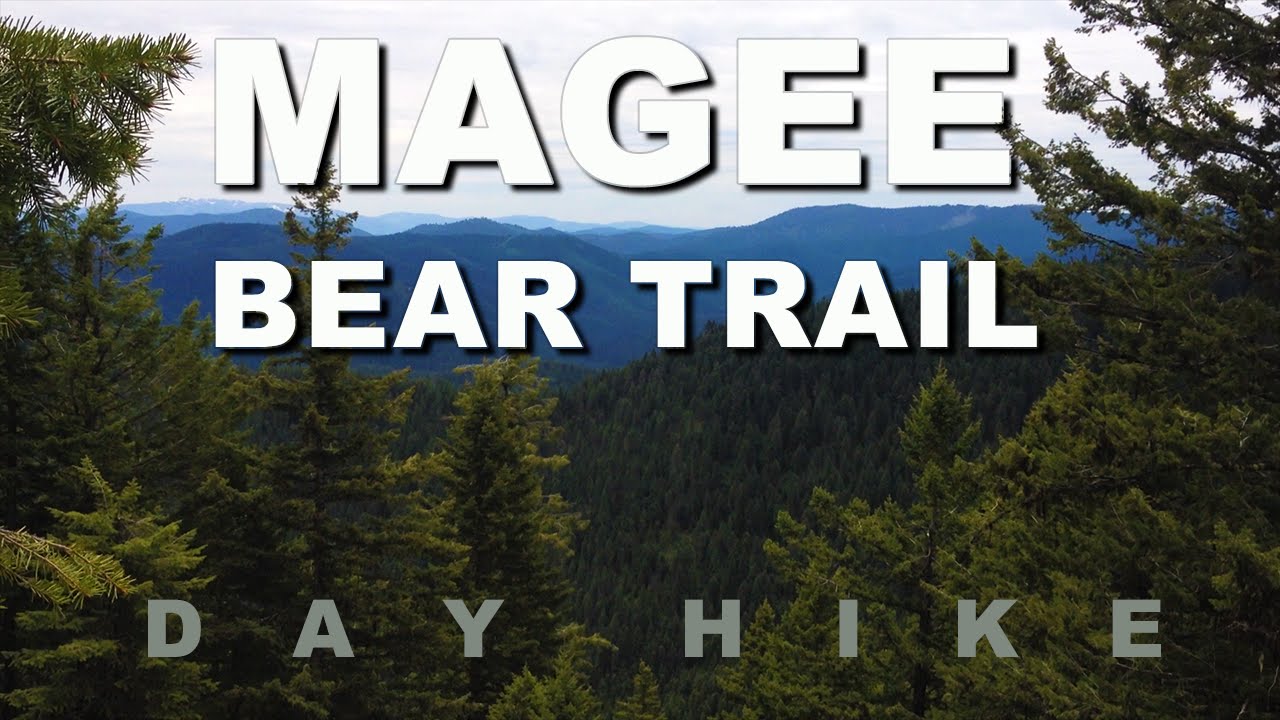 Magee Bear Trail | Panhandle National Forest, Idaho