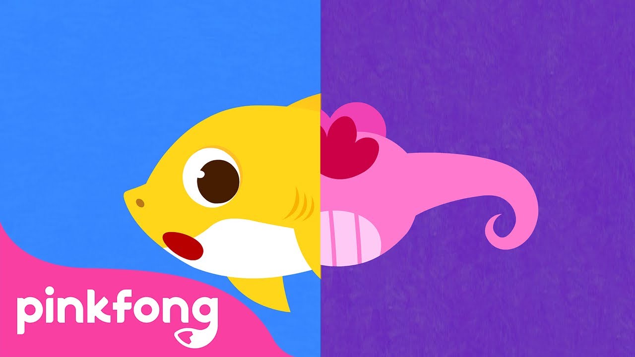 Você Viu a Cauda do Tubarão? | Cante junto com o Bebê Tubarão | Pinkfong Canções para Crianças