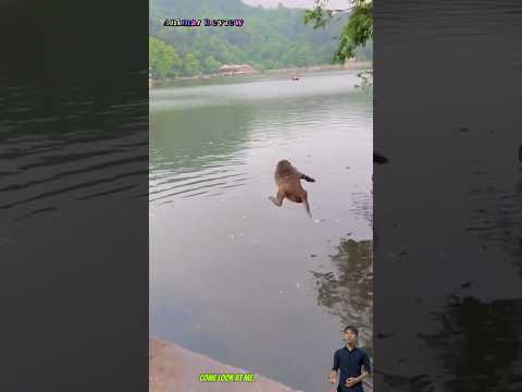 Mới sáng sớm