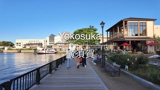 [4K] Yokosuka 横須賀 [Kanagawa 神奈川] [Walk 散歩] #990