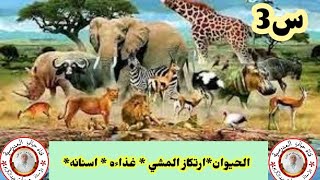 السنة الثالثة تربية علمية : (تنقل الحيوان + تغذية الحيوان + اسنان الحيوان)