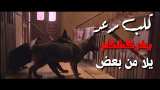 حالات واتس مهرجانات 2020💥احمد موزه لسه منزلش💥كلب رعد يفركشكم يلا من بعض💥حالات واتس2020
