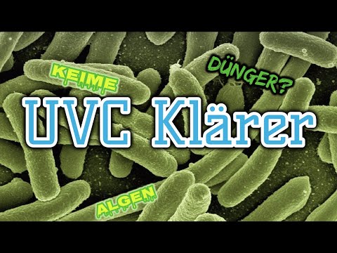 Video: UV-Sterilisatoren Für Aquarien