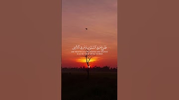 تلاوة هادئة تريح الاعصاب  لأيات  من سورة النمل للقارئ  ياسر الدوسري 🎧❤️🎧