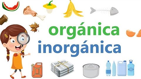 Basura orgánica e inorgánica