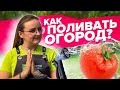 ПОЛИВАЙТЕ ПРАВИЛЬНО! ЭТИ КУЛЬТУРЫ НЕ ТЕРПЯТ ХОЛОДНУЮ ВОДУ!