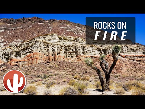 فيديو: 7 مرفأ للتنزه سيرًا على الأقدام في Red Rock Canyon National Conservation Area