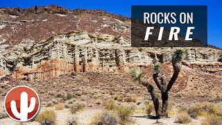 Exploration of the Hagen Discovery Trail | Red Rock Canyon State Park | Cantil, California