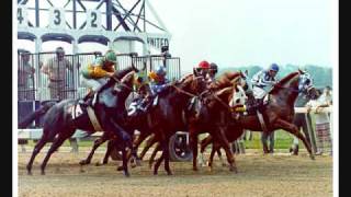 Secretariat TributeKing of the Horses