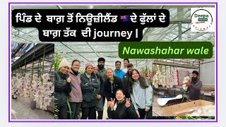 ਪਿੰਡ ਦੇ  ਬਾਗ਼ ਤੋਂ ਨਿਊਜ਼ੀਲੈਂਡ 🇳🇿ਦੇ ਫੁੱਲਾਂ ਦੇ ਬਾਗ਼ ਤੱਕ  ਦੀ journey | DeepaBazid wala