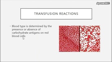 BIO 205 Chapter 19 Disorders of the Immune System