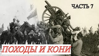 ЗАПИСКИ БЕЛОГВАРДЕЙЦА. Гражданская война-день за днем. Мамонтов С.И. Часть 7 (Регулярная кавалерия)