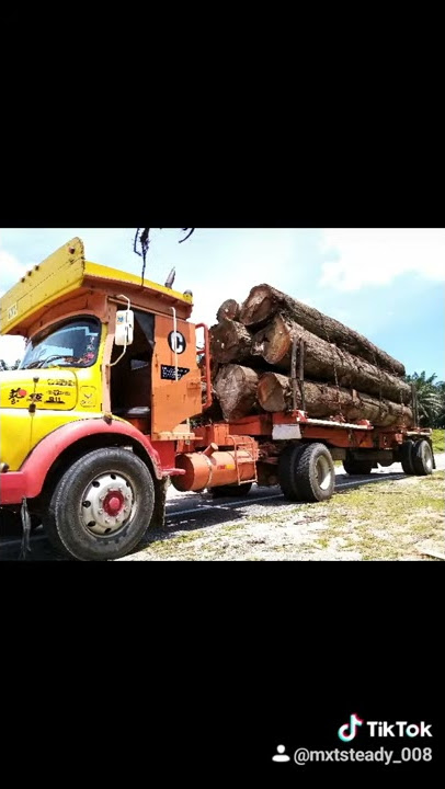 Lori balak terengganu