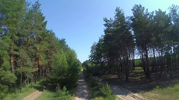FPV TBS Vendetta Forest Powerloops