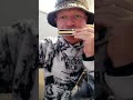 harmonica beatbox #beatbox