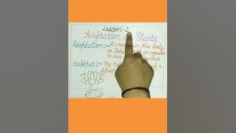 Class 4th Science Chapter 2 Adaptations for survival in plants ( part 1 )