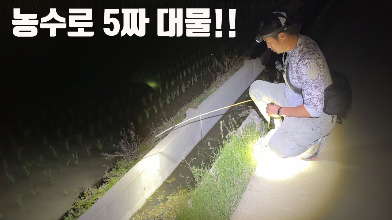 이런 작은 농수로에 대물들이 바글바글 합니다!! 역대급 조과!