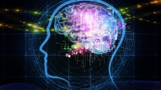 Scientists Uncover What Part Of The Brain Makes Decisions