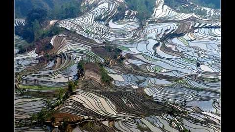 Ibrahim Jibreen - Surat Yusuf - 3/4 - سورة يوسف