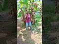 my dance 👌👌🥰🥰