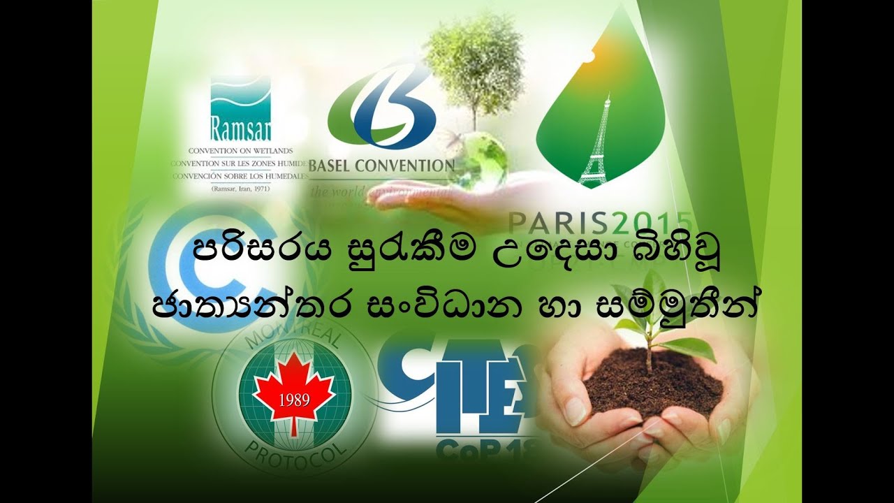 General Knowledge 02 - World Environmental Organizations and