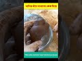 পাখির খাঁচা বানালো কেক দিয়ে 😱 #shorts