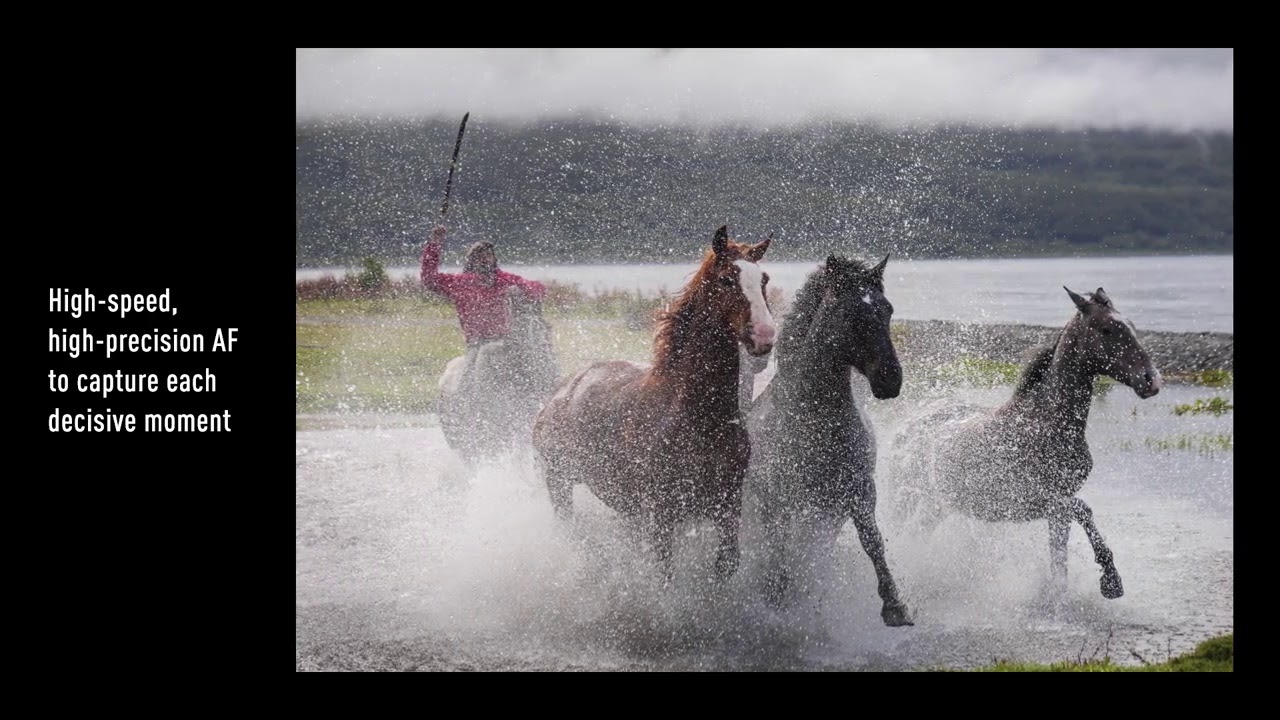Panasonic LUMIX S 24 105mm F4 MACRO O I S (Official Video) Panasonic LUMIX S 24 105mm F4 MACRO O I S (Official Video)