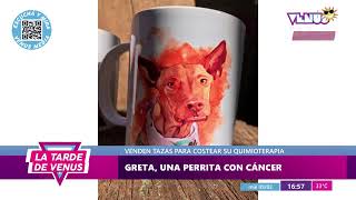 Greta, Una Perrita con Cáncer | La Tarde de Venus