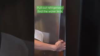 Refrigerator Leaks and How to Fix Them