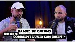 Comment punir son chien ? - BANDE DE CHIENS Ep22