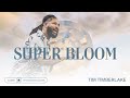 Super Bloom | Tim Timberlake | Celebration Everywhere