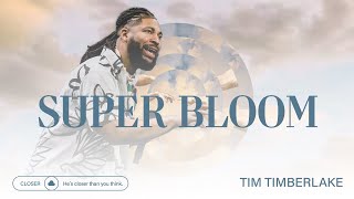 Super Bloom | Tim Timberlake | Celebration Everywhere