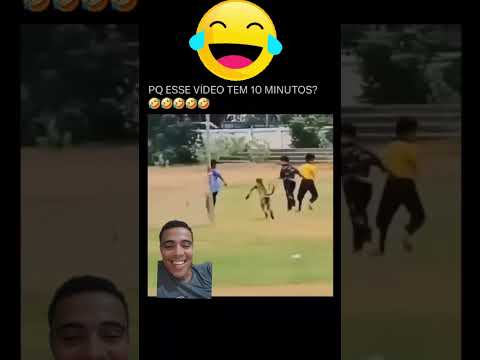 video engraçado 😂😂😂😂😂 #humortiktok #engraçado #animals #comedia #memestiktok