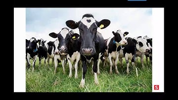 Migrating to Azure and Monitoring Your Hybrid Environment