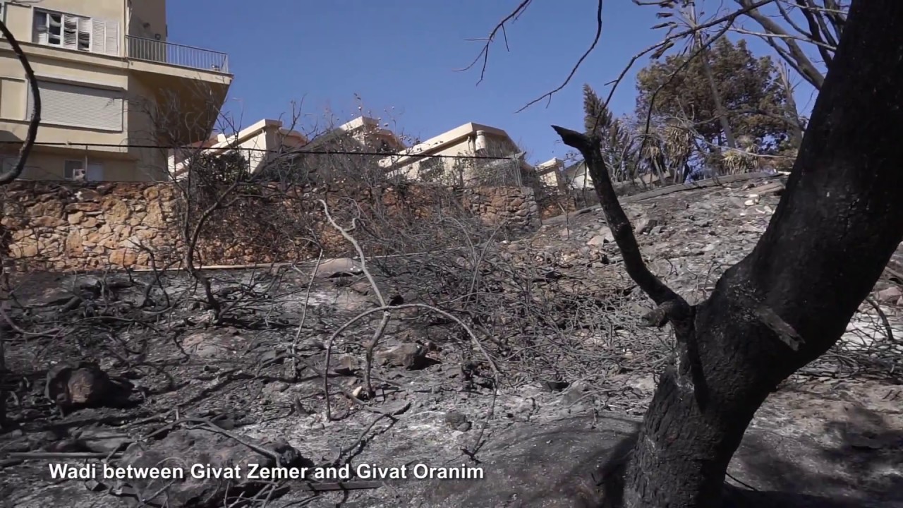 iit kharagpur Haifa Fire the Aftermath by Technion Graduate Guy Shachar