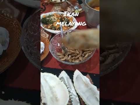 Bolehkah Ikan Melayang di Adsense? Menjelajah Potensi dan Tantangan Monetisasi Konten Niche Spesifik