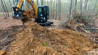 2024 Sany SY35 testing new machine digging up a stump!!