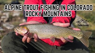 Alpine Cutthroat Trout Fishing in Colorado 2026