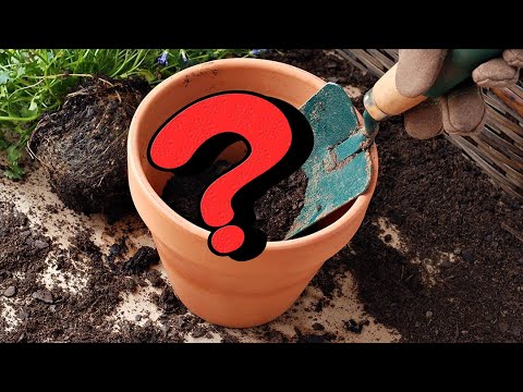 Что положить на дно горшка, чтобы растения росли как на дрожжах?