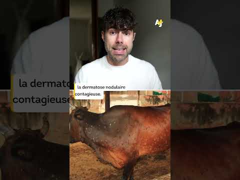 المناطق الشعبية مع المزارعين