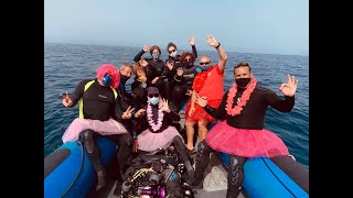 Download Lagu PADI Woman Dive Day 2020 MP3