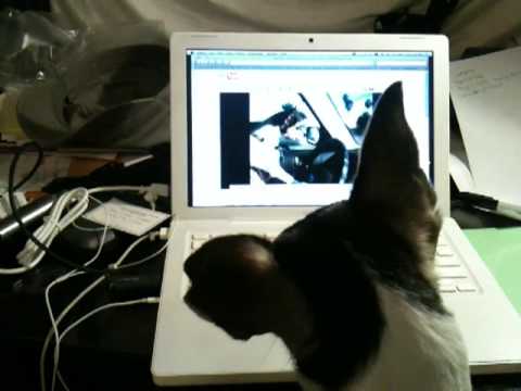 Toby finds out he's the newest youtube sensation.