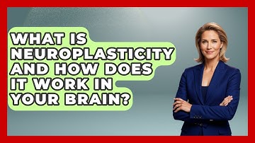 What Is Neuroplasticity And How Does It Work In Your Brain? - Brain Development Hub